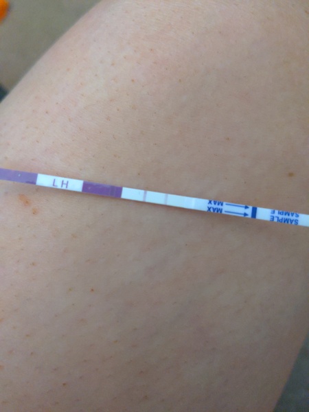 Opk help please?