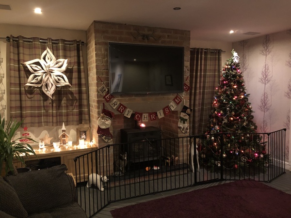 Is it too early for a Christmas tree thread?