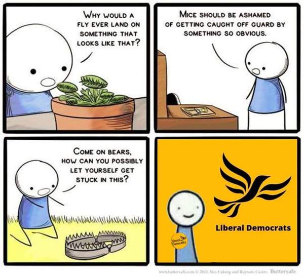 to think that in fact the Lib Dems are not going to