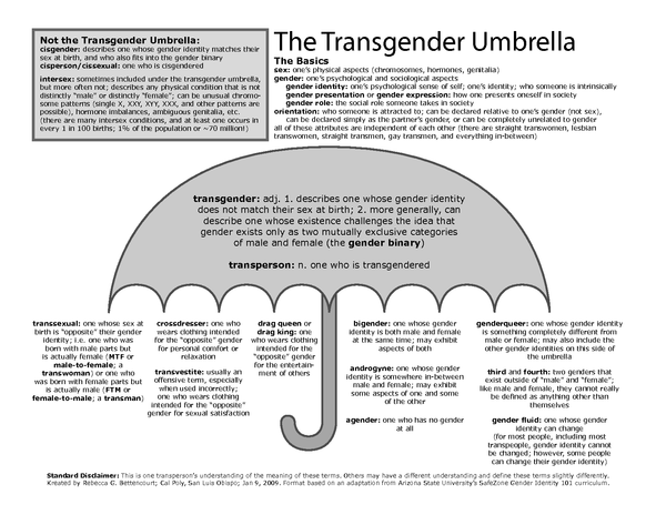 Does MN have a problem with trans people? **MNHQ edited title as OP has apologised for 'accusatory' tone**