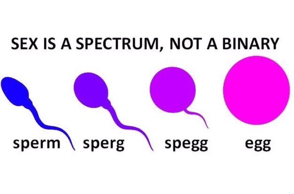 Fb post about sexes