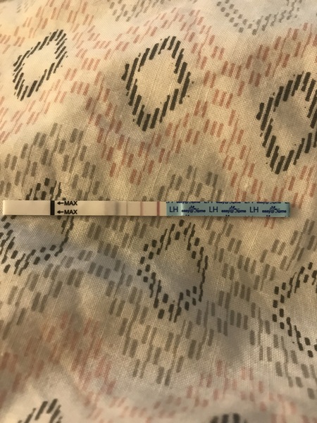 Can anyone make sense of this please.