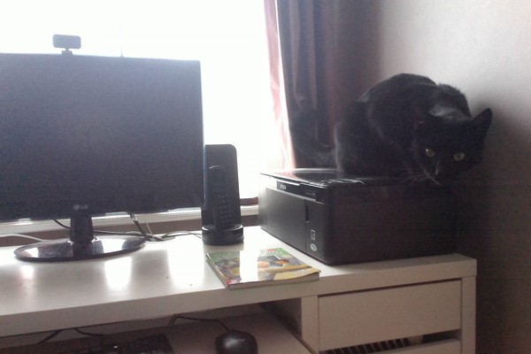 Westminstenders: Manifesto or Bust?