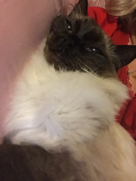 Morning snuggles