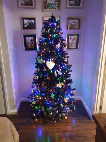 Wankerbastards and autumn weather, crunchy leaves, browning heather. We want crisp, cool days and crisp, cool wine, or beer or gin. But only a couple, as we smash moderatin'.