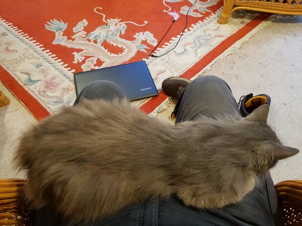 I can't move, can I?