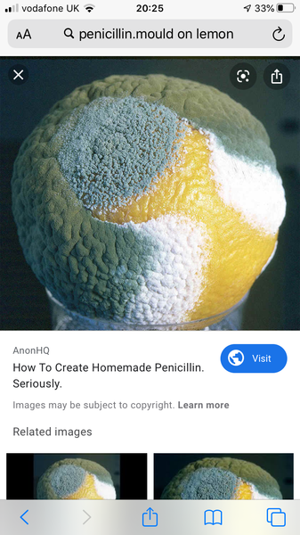 Just breathed in some green mould dust from a lemon.