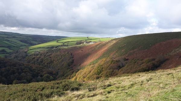 Any Witches Here? Part 10.