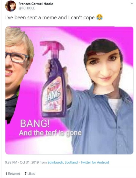 GE is on! Remainers how will you vote?