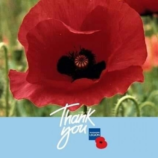 Poppies and FB