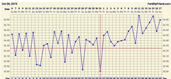 BBT chart opinions?