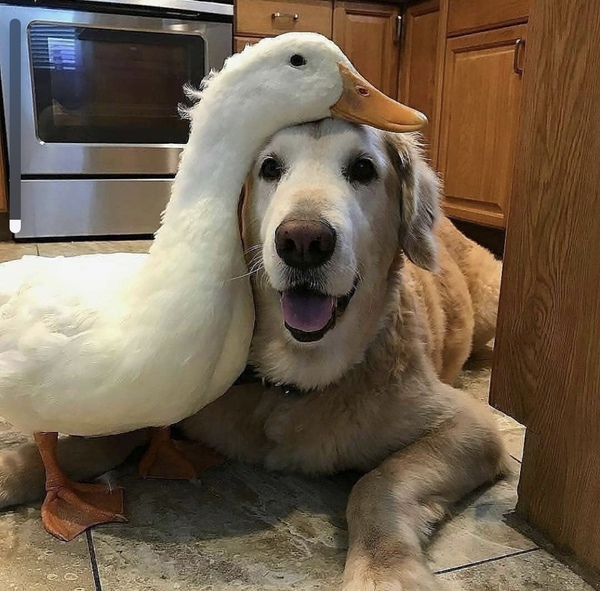 AIBU to post a happy picture