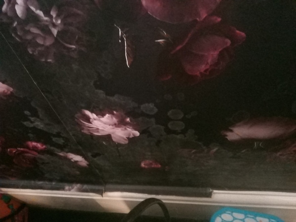 Is this damp in bedroom?