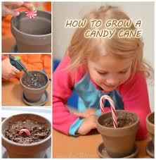 Christmas traditions