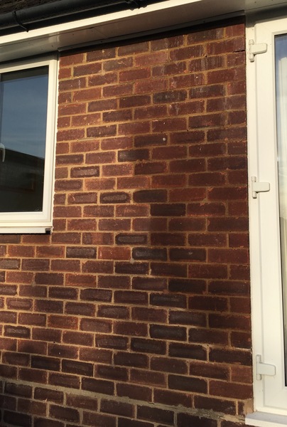 What is this mysterious wet patch on my wall? (Photos)