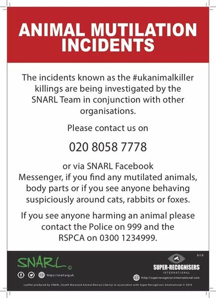 UK Cat Killer still active in the following areas: Edgware, Barnet, Northolt