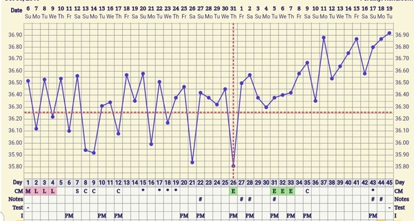 Trying to conceive first child with PCO/PCOS or irregular long cycles