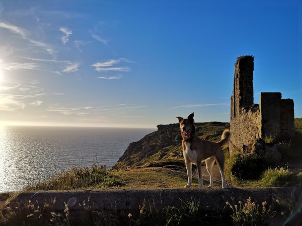 Cornwall tonight and tomorrow.