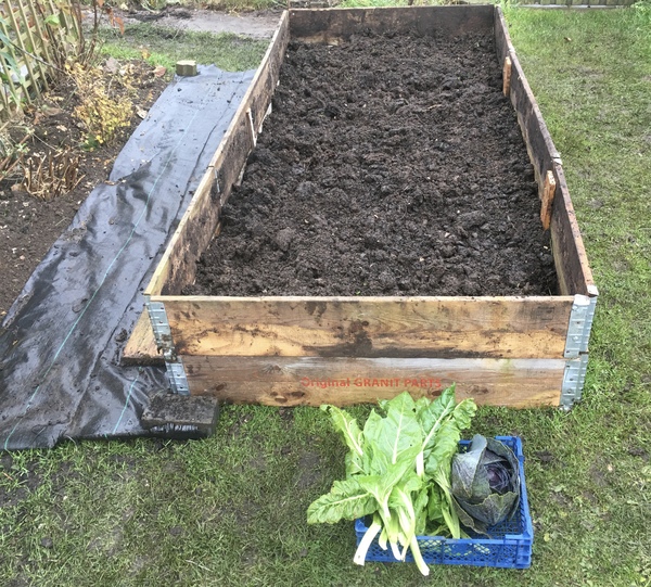 Allotment/Veg Patch Thread 14 ! growing into summer