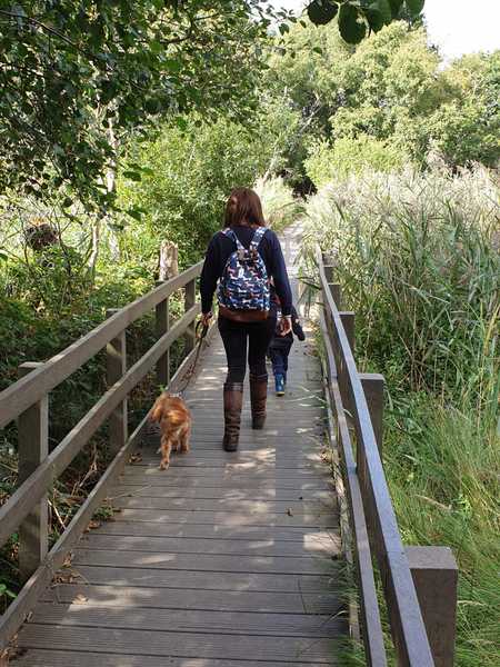 What dog walking bag do you have?
