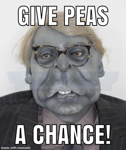 Brexit Arms. Empty Ditch for sale. Interested parties please contact owner by 12th Dec.