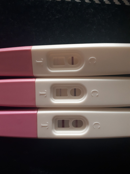 Confusing pregnancy.