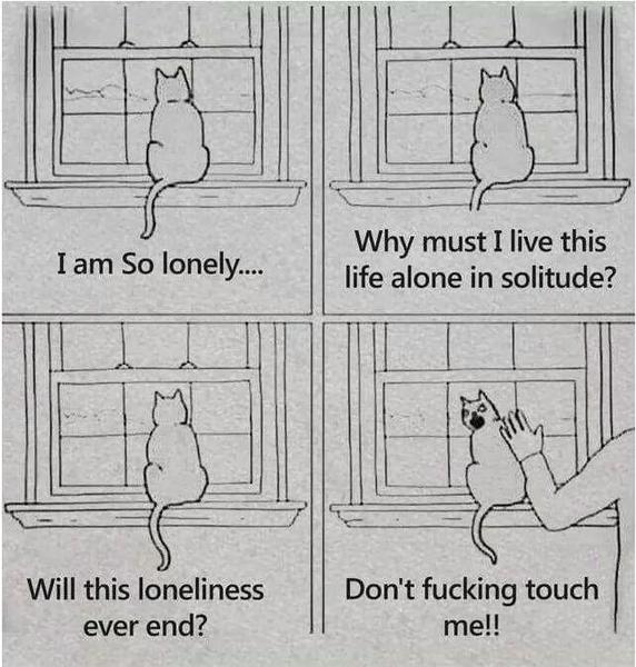 To think that generally, dogs have bigger personalities than cats?