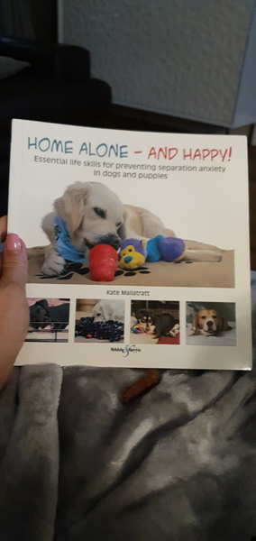 Puppy Support Group 2