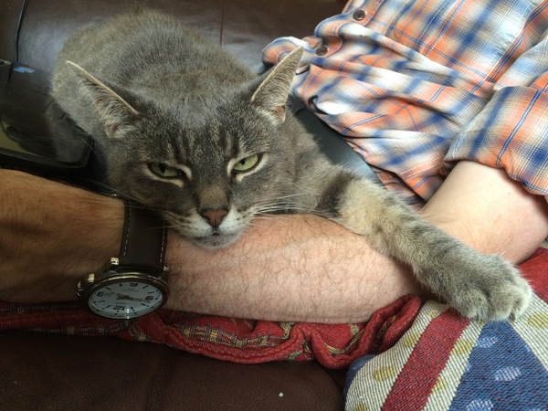 Brexit Arms: the discussion continues....