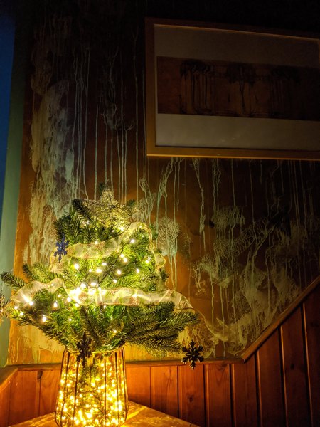 Has everyone decorated and put their real tree up yet?