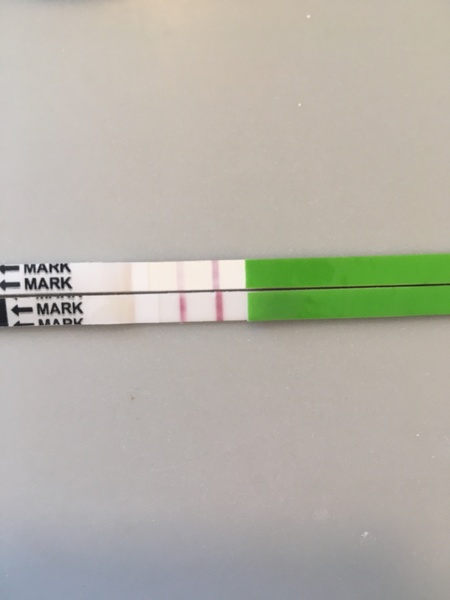 Is it true that a positive ovulation test will show a positive result if you're pregnant?