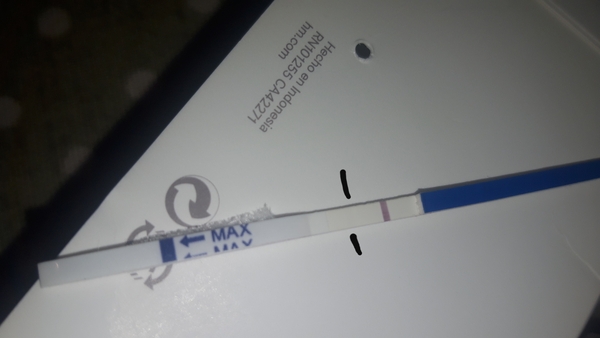 What is this line? Not Pregnant.