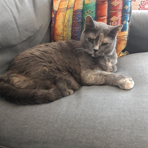 Swagger Inn thread 163 - it's raining --HBFs-- rain. FML...