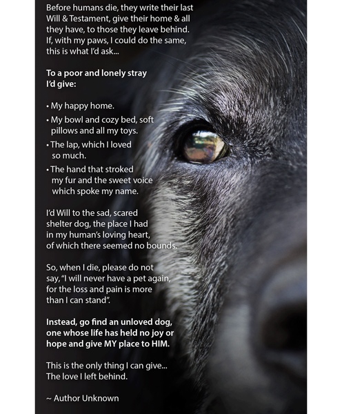 Losing your best friend