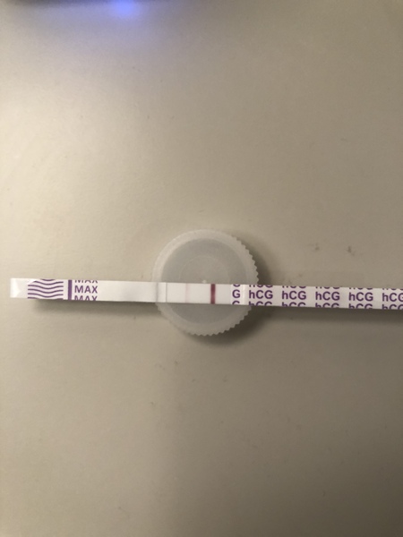 Positive or EVAP? Not due for another 4 days...