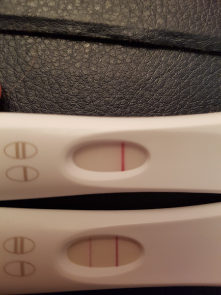 Is it true that a positive ovulation test will show a positive result if you're pregnant?