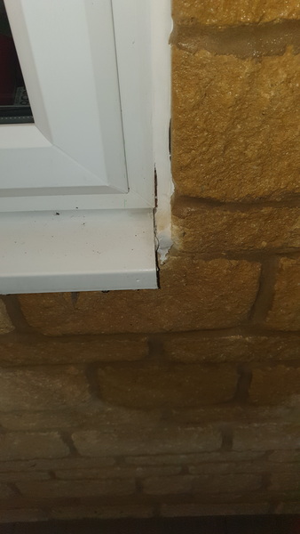What is this mysterious wet patch on my wall? (Photos)