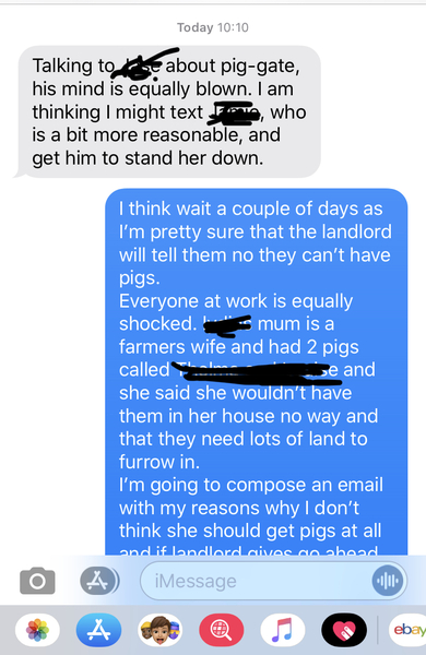 To say no to visiting pigs for Christmas??