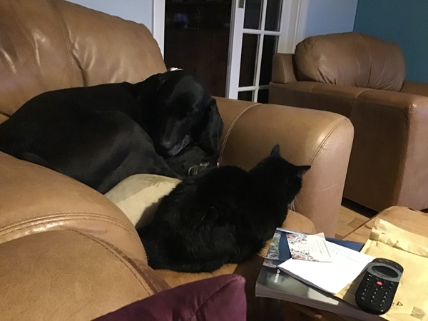 CoatZilla and the Barbour Boy- The Second Saga