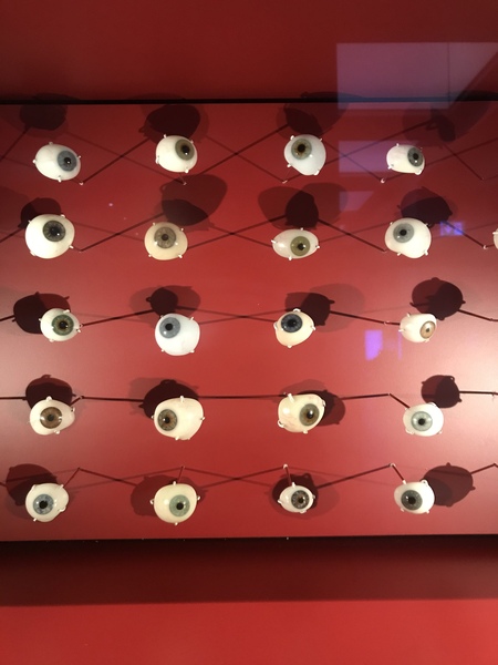 The use of ‘gender’ in museums ?? (Science Museum)