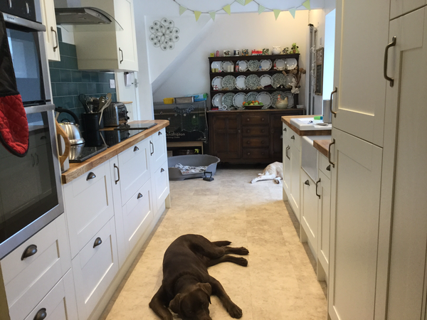 Does anyone want to show me their kitchen?