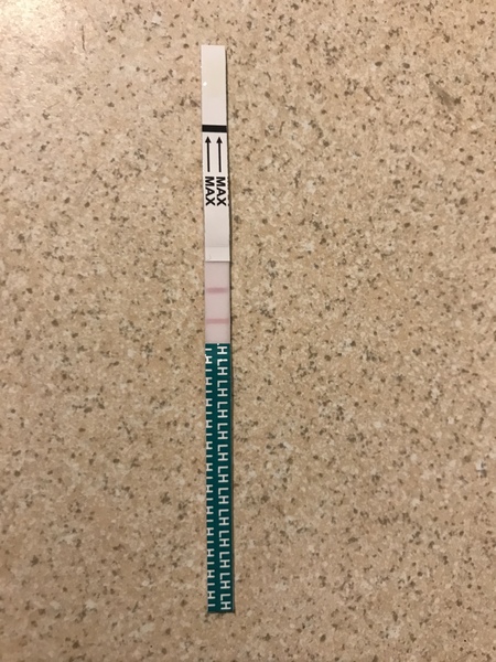 Ovulation test I think I got my first surge