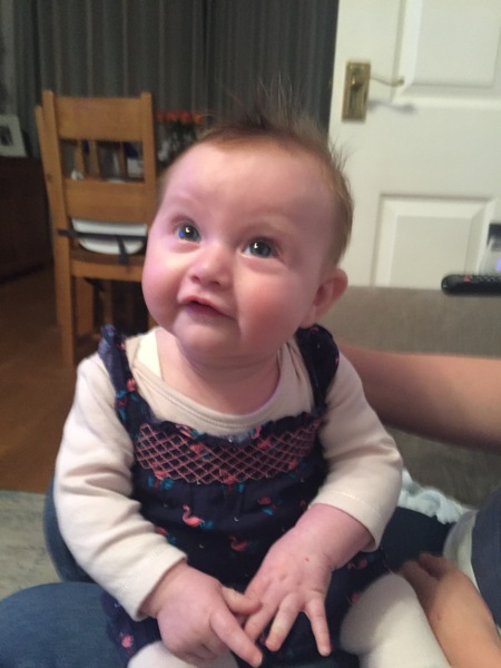 Friendly Frugaleers Festive Preparations and Financial Accountability