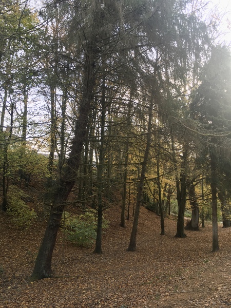 Any Witches Here? Part 10.