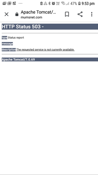 Bloody tom cat is back