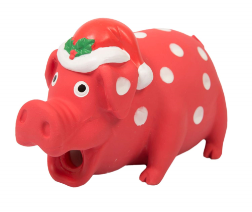 Show me a pic of your dog's favourite toy!