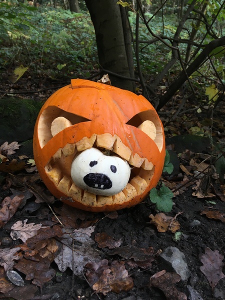 Westminstenders: The end of tribalism