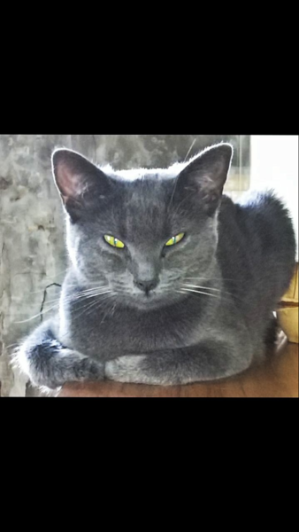 What's your DCat up to today? (Thread 7!)