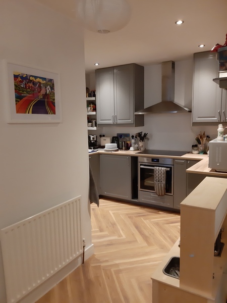 Does anyone want to show me their kitchen?
