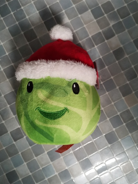 to serve sprouts every day...